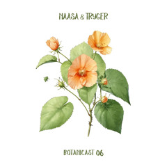 NAASA & Tryger - Botanicast 06