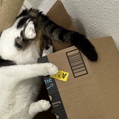 this is how i feel now.raw