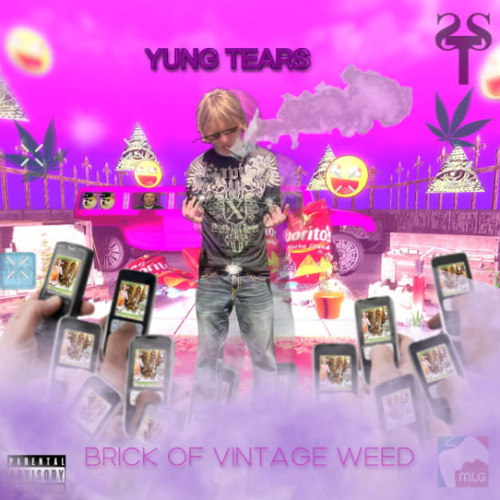 Brick of vintage weed (prod. 22kageyoshi)