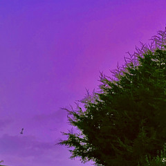 worth it ft. twinsanity