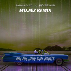 Rasmus Gozzi, Fröken Snusk - NU ÄR JAG DIN BUKIS (Mojnz Remix)