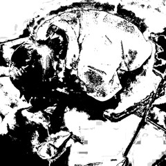 Hypothalamus