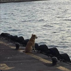 QU!CKKER - ก่อนที่ Feat.WhoAreYou, SomRos (Prod. Pieper Beats)