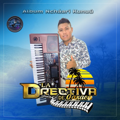 Mix tierra caliente para bailar pegadito