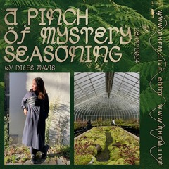 A Pinch Of Mystery Seasoning w/Diles Mavis - 28/02/24