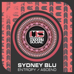 Premiere: Sydney Blu, Samira - Entropy [Monday Social Music]