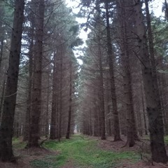 Better to Have Loved