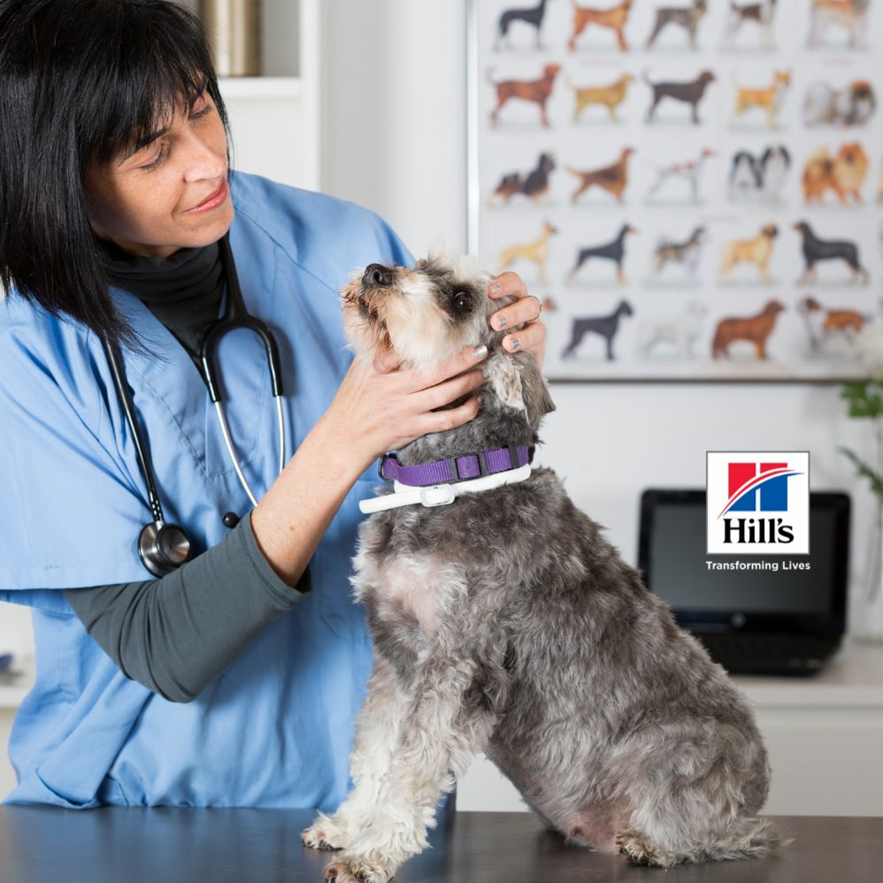 Taking a Bite Out of Canine Oral Tumors –  A Guide for Recognition and Management episode artwork