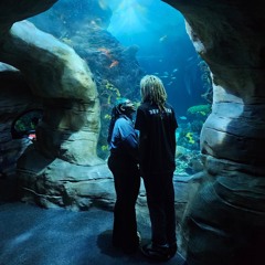 creatures (p.sickboi)