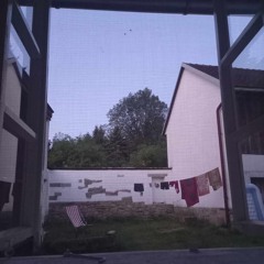 wake up, said the swallow / probuď se, řekla vlaštovka