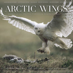 READ EBOOK 📂 Arctic Wings: Birds of the Arctic National Wildlife Refuge by  Stephen