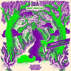 PREMIERE : IBÄ - Magic Woodland (Extended) (Elektric Bazaar)