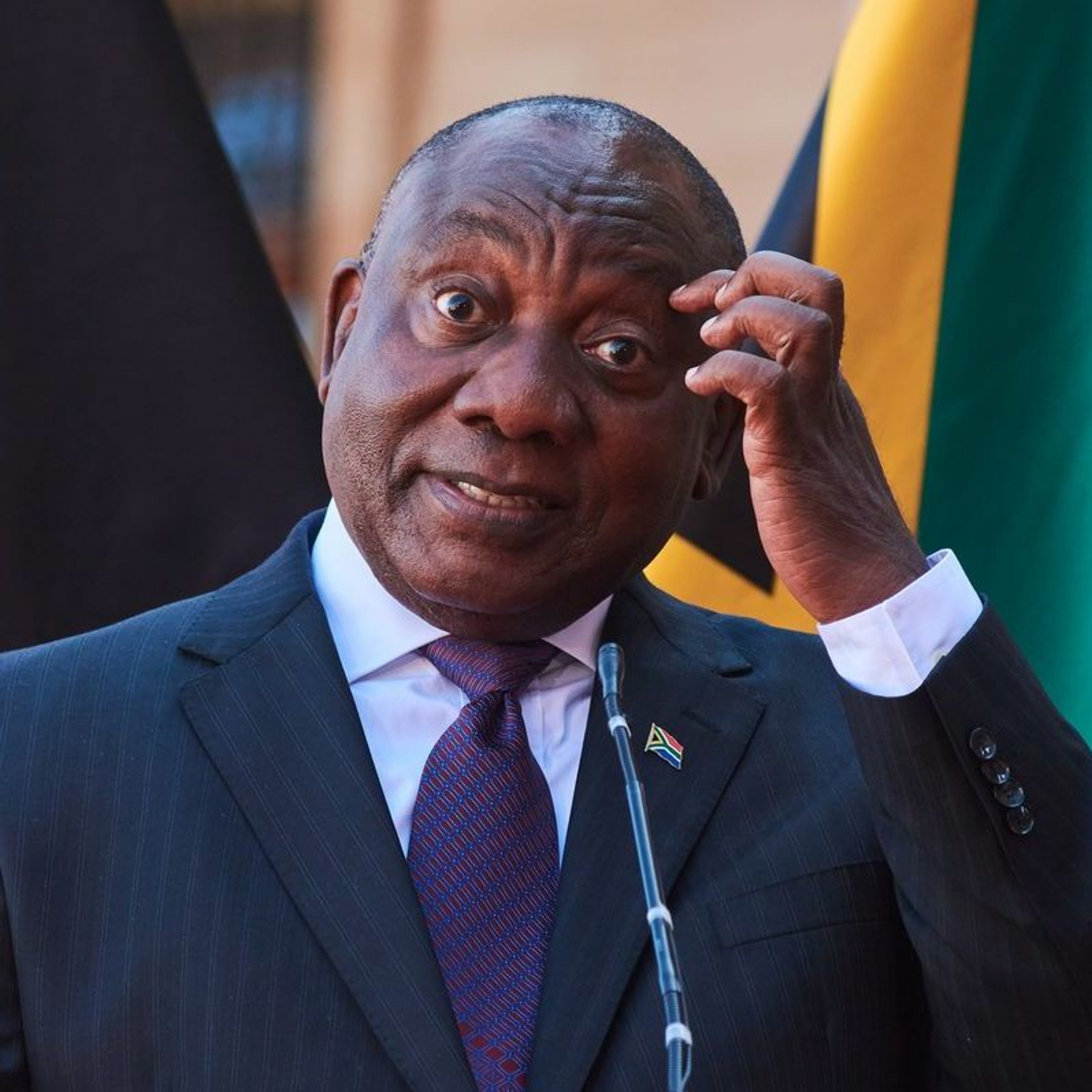 The Zondo Commission Report on State Capture episode artwork