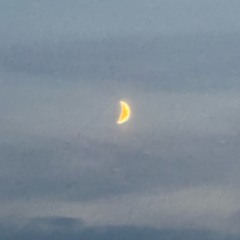 sunny funeral orchestra