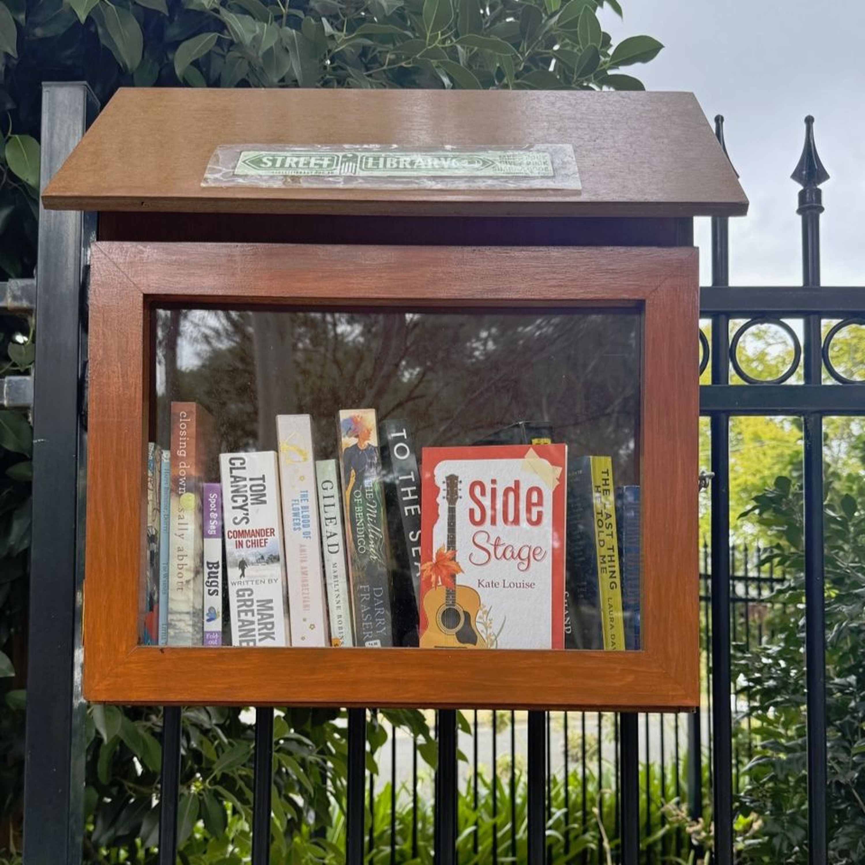 My Street Library Introduces Locals, Leaves A Great Feeling -Carolyne Jasinski episode artwork