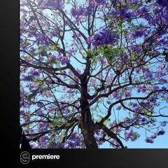 Premiere: Lucadjelite - Il Giardino Segreto - Aretusa Underground Elite Records