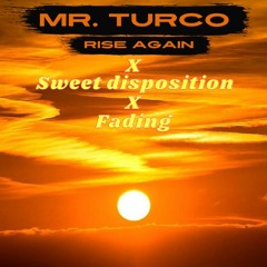 Rise again x Sweet Disposition X Fading (Mr. Turco Mashup)