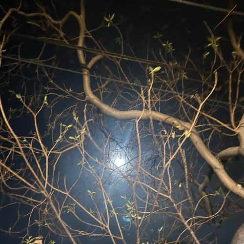 everysinglenight (prod. tonycomputerlove)