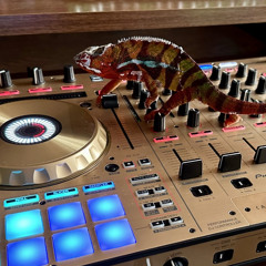 Chameleon Mix