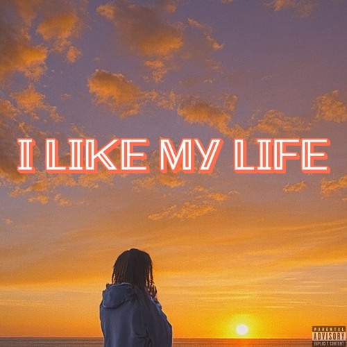 I Like My Life(prod by pietsbeats)