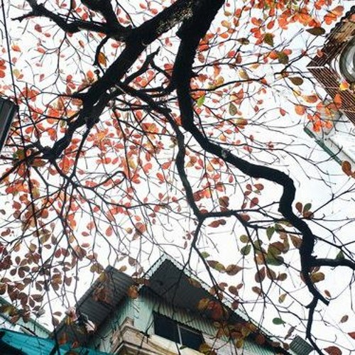 Tìm Kiếm Ai - ThanhThao Ft Kdee Ft Rill ( Mầm Music And Memories )