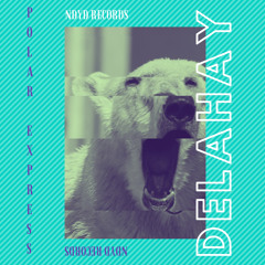 PREMIERE: Delahay — Icelandic Voyage (Original Mix) [NDYD Records]