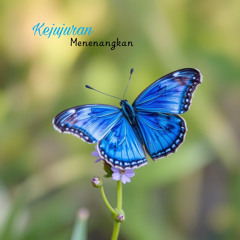 Sesuap harapan