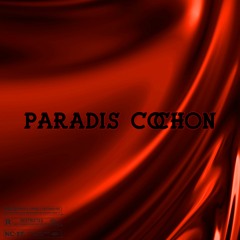 PARADIS COCHON