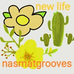 new life