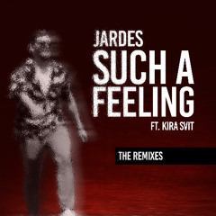 Jardes - Such A Feeling (Venne Radio Remix)