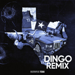BigXThaPlug - Texas (Dingo Remix)