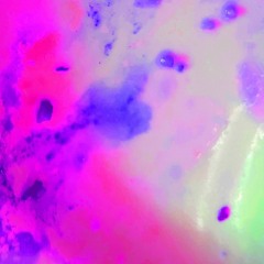 hidden habits 13/12/25