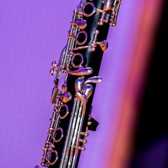 Clarinets And Creepy Synths