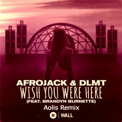 Afrojack & DLMT Ft. Brandyn Burnette - Wish You Were Here (Aolis Remix)