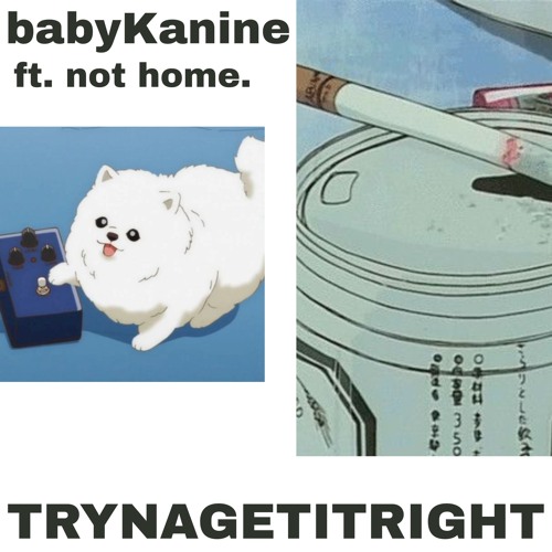 trynagetitright ft. not home. (prod. Caspr)