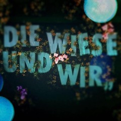 VORFREUDE DJ SET - "die Wiese und Wir" 2020