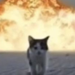 Roblox bypassed audio arigato meme