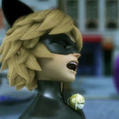 Cat Noir X Yeah!