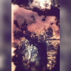 Cowardly Dreaming