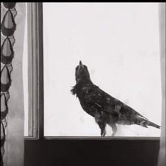 christopher moltisanti there was a time in my life