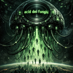 Acido dei funghi XLXLOUD