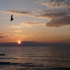 Train - If its love Beautiful Piano