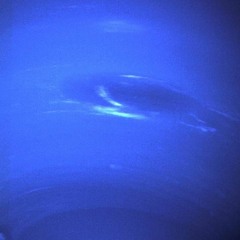nepTune
