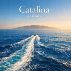 Let the Fire Have the Fence