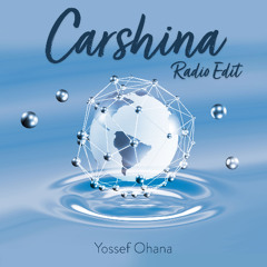 Joey- Carshina Radio Edit