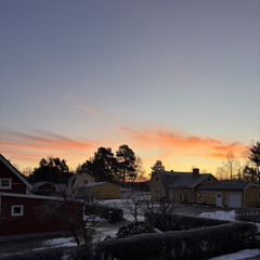 Yukio Mishima - Spirit of society