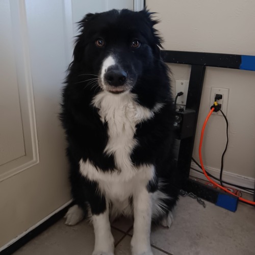 like some sort of g6 or something