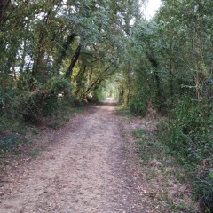 summer 2k25 clips w/ astrid, stylessx, 9cyon, txt.x3, akjames, scribe, modico31, mortythebee