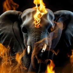 The Fire Within