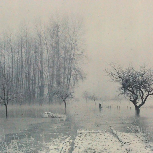 Ambient New Year 2024
